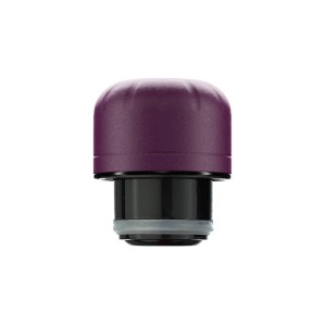 Chilly's Matte 750ml Accessories Purple | LF3102845