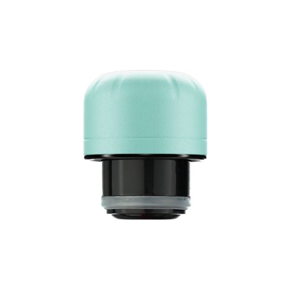 Chilly\'s Pastel 260ml / 500ml Accessories Green | SN0742531