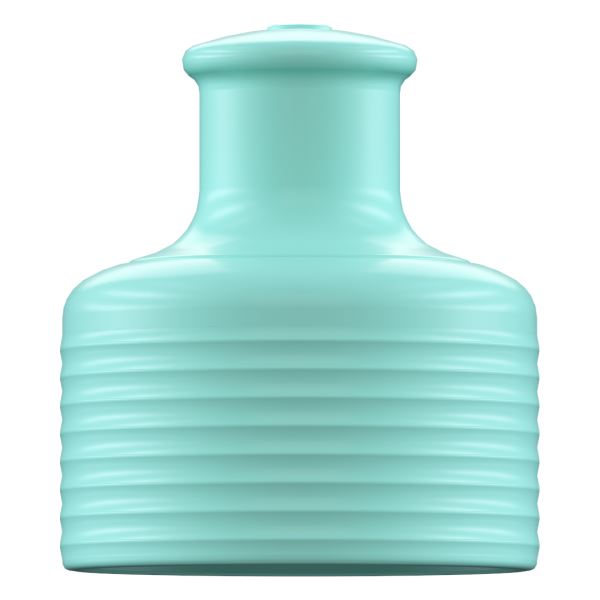 Chilly\'s Sports 260ml / 500ml Accessories Green | ZA7162403